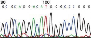 DNA sequence of a Maltese family. Taken from a research paper by Dr Joseph Borg, Prof. Alex Felice and an international team.