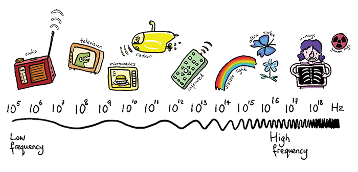 The Electromagnetic Spectrum. Higher frequencies mean higher energies but shorter wavelengths. X-rays and Gamma rays are on the higher end of the spectrum making them so dangerous.