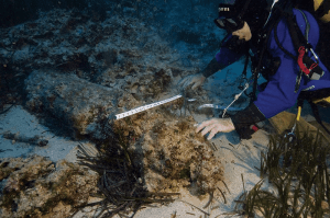 Diver Mark Gatt. Photo by Dr Antonio Ghio.