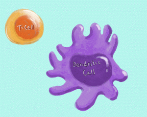 cells