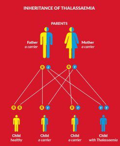 Inheritance of Thalassaemia