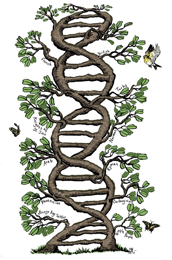 Генетика деревьев. Геном дерева. Дерево гены. Деревья для Гена. "Дерево" генов и видов.